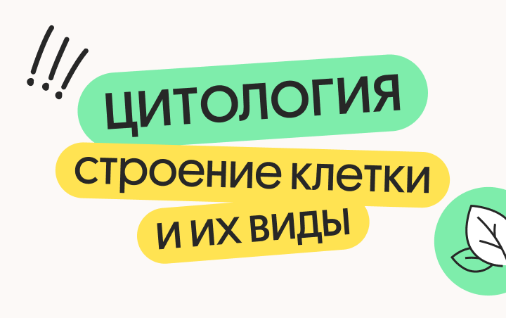Цитология: Строение и виды клеток — онлайн-курс